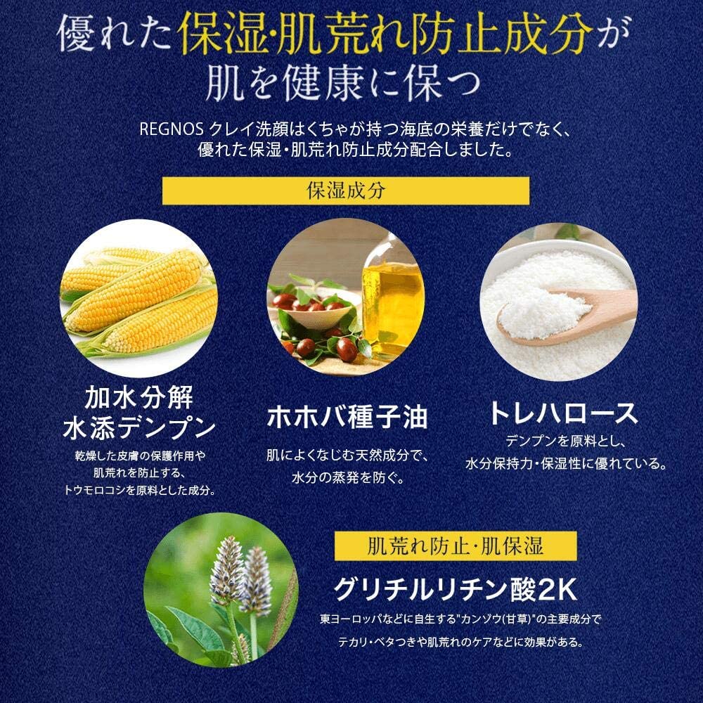クレイ洗顔　洗顔フォーム　【べたつきやすい肌に】　洗顔　REGNOS（レグノス）男性用