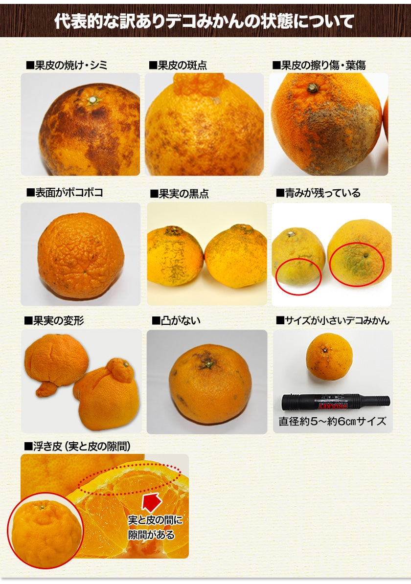 訳あり デコみかん 4kg
