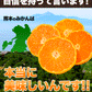 大粒 みかん 訳あり 4kg