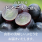 訳あり ぶどう ピオーネ 山形県産 約2kg(房数おまかせ) 送料無料※一部地域を除く gr05