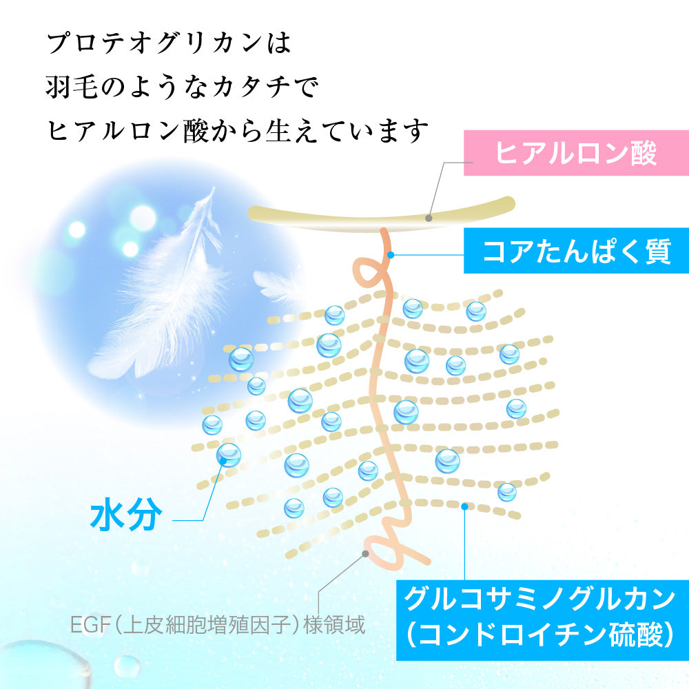 サプリプロ プロテオグリカン ビューティ 1袋