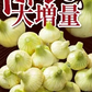 【超シェア買い祭】【送料無料】淡路島玉ねぎ 3キロ［Sサイズ～2Lサイズお任せ］＃訳ありたまねぎ3kg＃