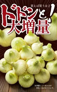 【超シェア買い祭】【送料無料】淡路島玉ねぎ 3キロ［Sサイズ～2Lサイズお任せ］＃訳ありたまねぎ3kg＃