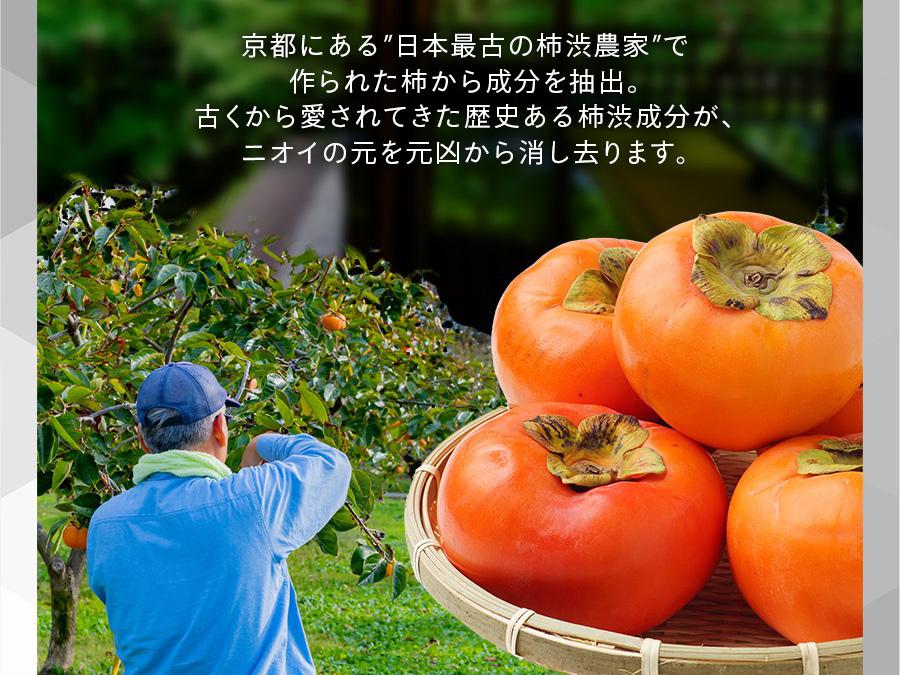 メンズ　衣類用消臭剤　消臭　ホワイトムスク　スプレー　ミスト　REGNOS（レグノス）男性用
