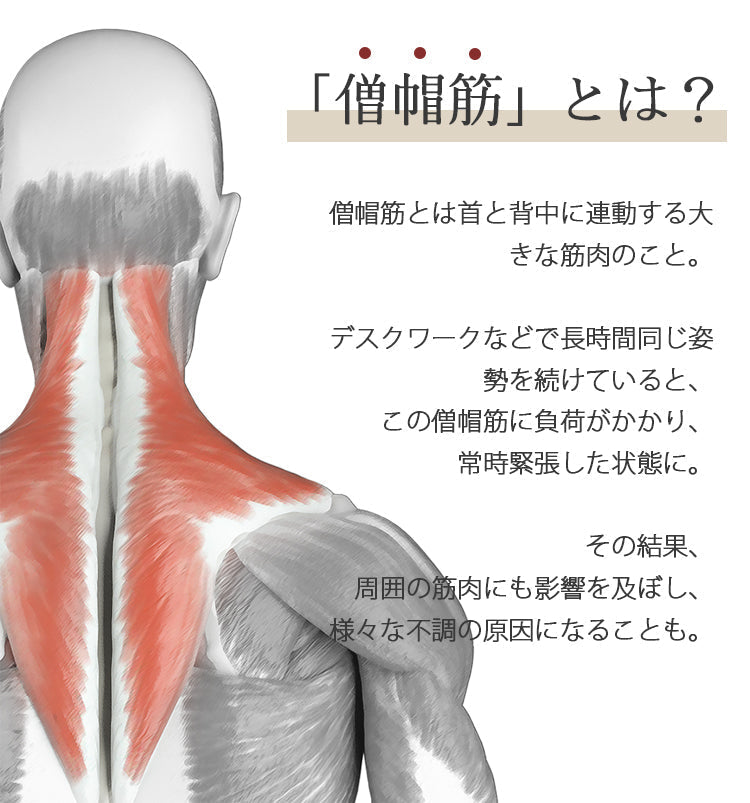 NIPLUX SHOULDER RELAX L (ニップラックス ショルダー リラックス Lサイズ)