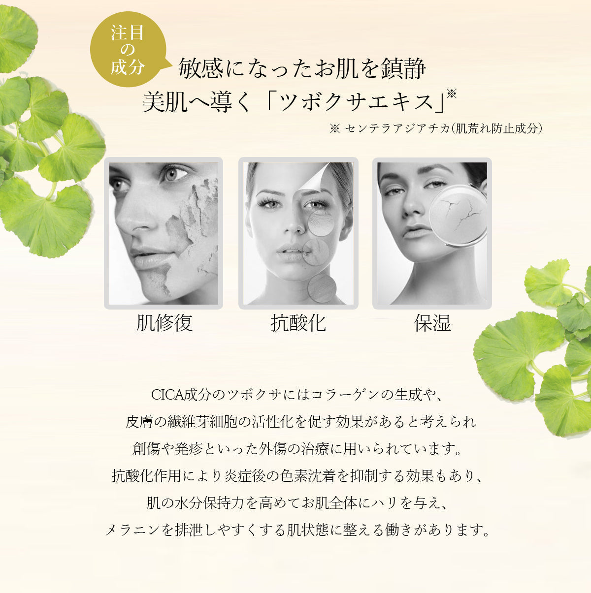 【3人シェア買いでお得】【5枚セット】 ナチュボーテ CICA プレミアム シートマスク 個包装 シカマスク フェイスパック フェイスマスク natubeaute シートパック 顔 マスク シートパック 韓国コスメ 韓国パック ナチュマスク ツボクサ スキンケア コスメ 化粧品 美容 シカ パック マスク メール便 送料無料