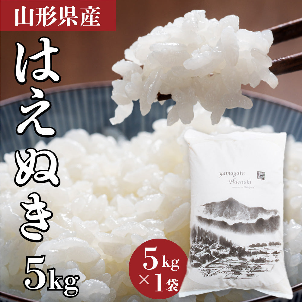 【完売御礼】【超得ハイパーSALE】＜５キロ＞山形県産 令和4年度 新米 はえぬき