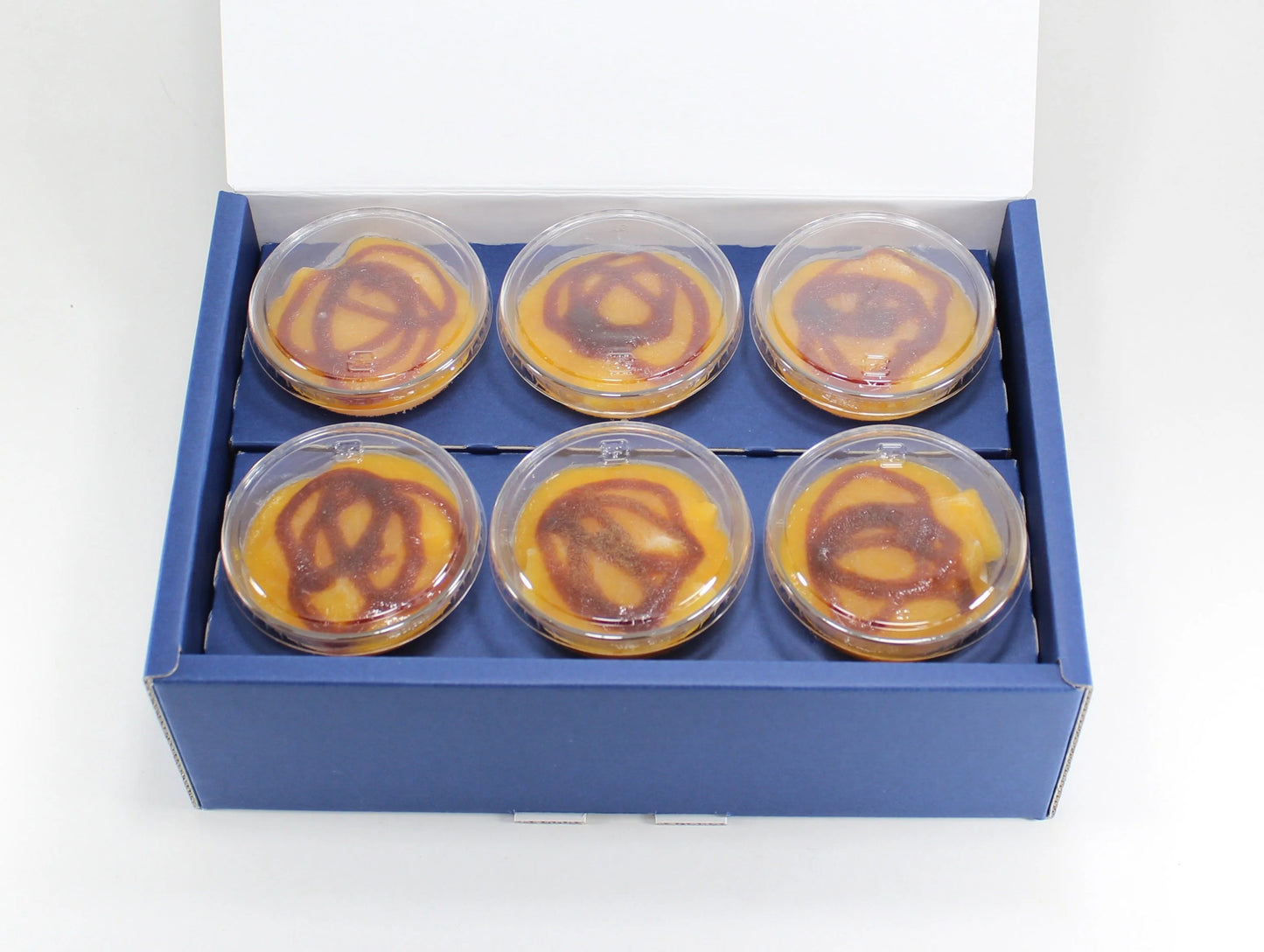 ＜東京・小金井＞TERAKOYA監修　濃厚マンゴープリン　TE-M6