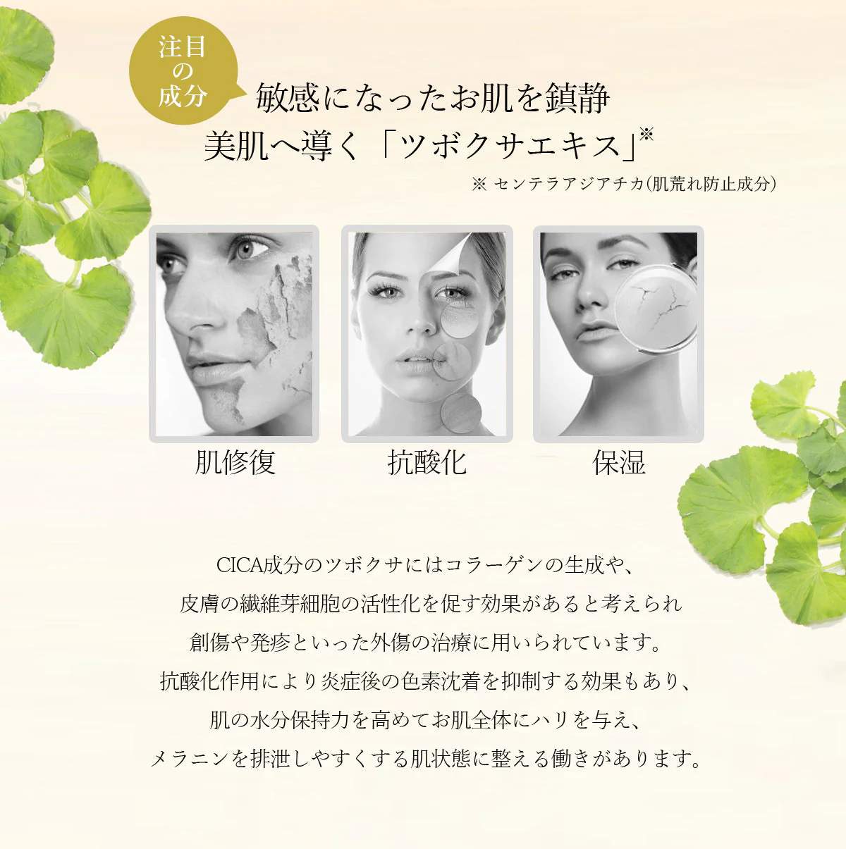 【超得ハイパーSALE】【5枚セット】 ナチュボーテ CICA プレミアム シートマスク 個包装 シカマスク フェイスパック フェイスマスク natubeaute シートパック 顔 マスク シートパック 韓国コスメ 韓国パック ナチュマスク ツボクサ スキンケア コスメ 化粧品 美容 シカ パック マスク メール便 送料無料