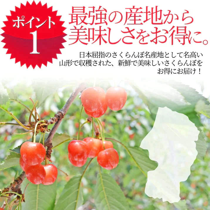 【6月下旬発送】 さくらんぼ 佐藤錦 秀品 L玉 1kg 山形県産を産地直送！ 化粧箱入 お中元 ギフト お中元 ギフト 贈答品として人気です 送料無料 内祝い