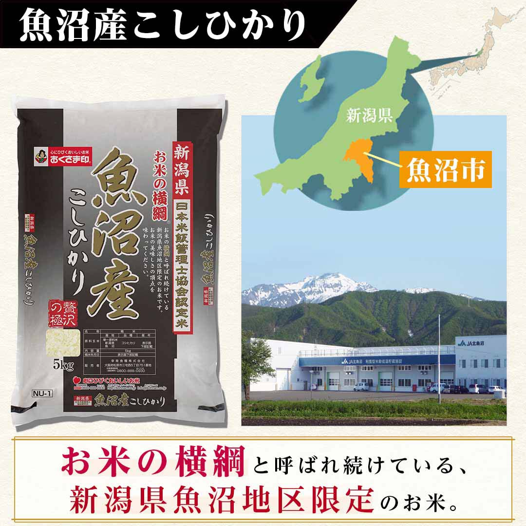 米 精米 新潟県 魚沼産 こしひかり 5kg 令和5年産 新米 お米 白米 おくさま印 国産 食品 ギフト 引っ越し 挨拶 出産 内祝い 母の日 父の日 お中元 お歳暮 結婚 快気 還暦 香典返し 寒中 暑中見舞い お年賀 送料無料