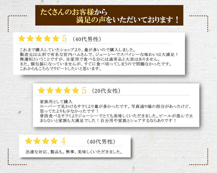 選べる おつまみ セット 2種 ほたるいか サラミ ソーセージ 晩酌 おつまみ おやつ 無添加 日本海産 富山 国産 おつまみ ホタルイカ 珍味 サラミソーセージ 宮内ハム 山形 グルメ サラミ 業務用 国産 お徳用 訳あり つまみ カルパス サラミ 買い回り 送料無料