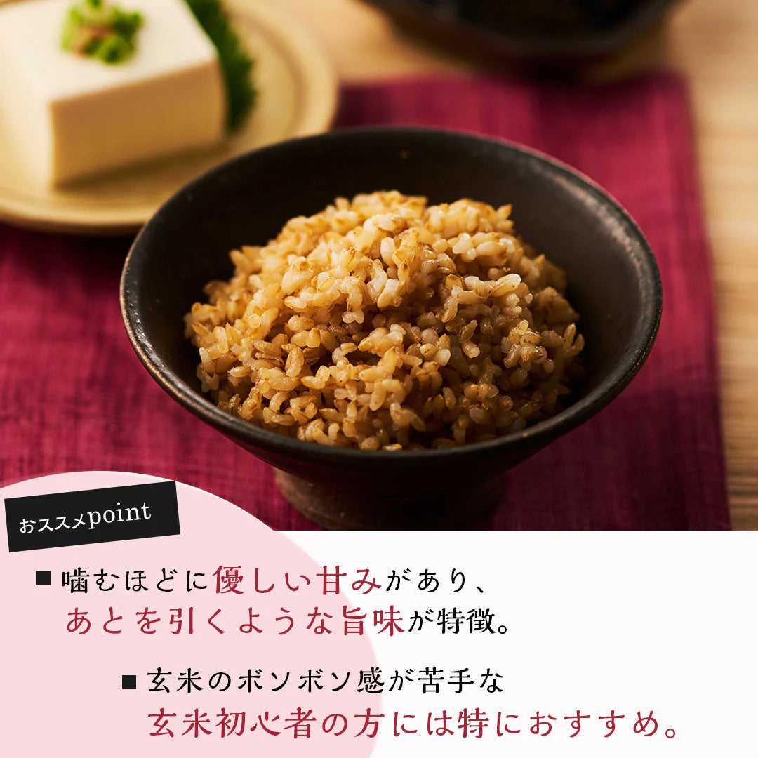 ゆめぴりか 無洗米 5kg ご飯パック 金のいぶき玄米 12個セット 詰め合わせ おくさま印 お米 白米 玄米 食べ比べ レトルト ごはん 食品 国産 レンジで簡単 温めるだけ ギフト 内祝い お中元 お歳暮 送料無料