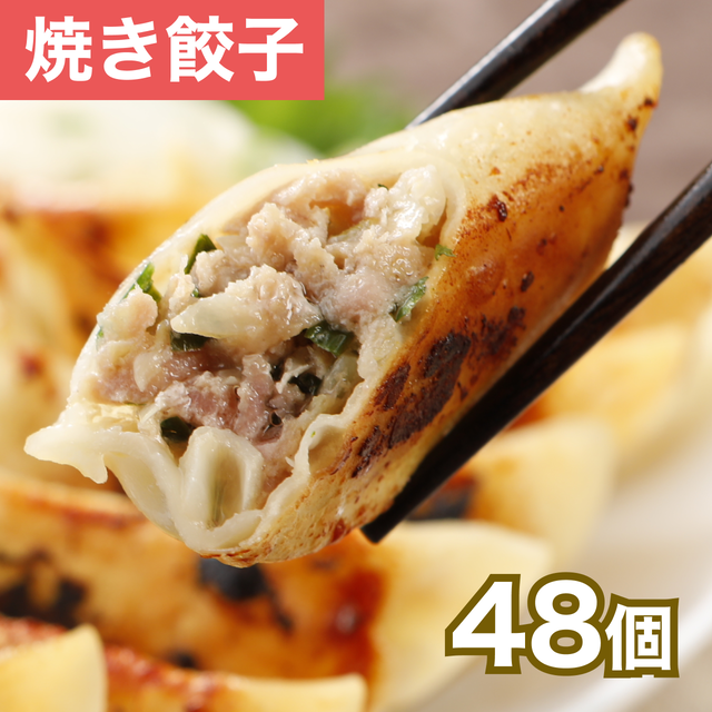 箸が止まらない！絶品焼餃子 48個（12個入り×4袋）
