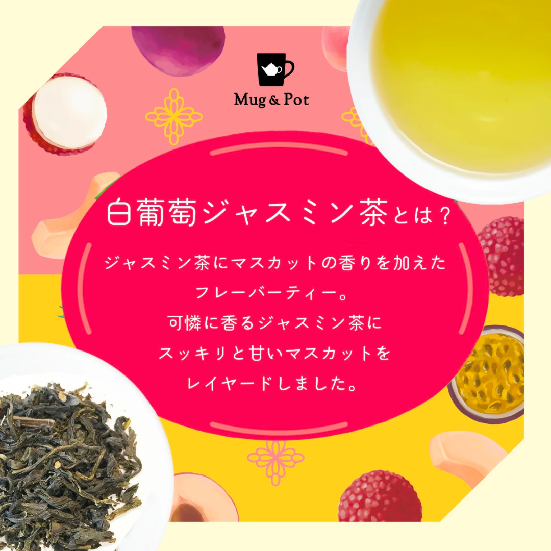 [48点]久順銘茶  白葡萄ジャスミン茶【エコ得リリースSALE】