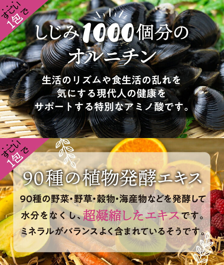 【限定クーポンで20%OFF】30食セット すごいmiso soup