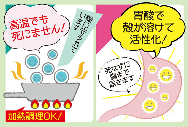 500g 水溶性食物繊維＋生きてる乳酸菌パウダー