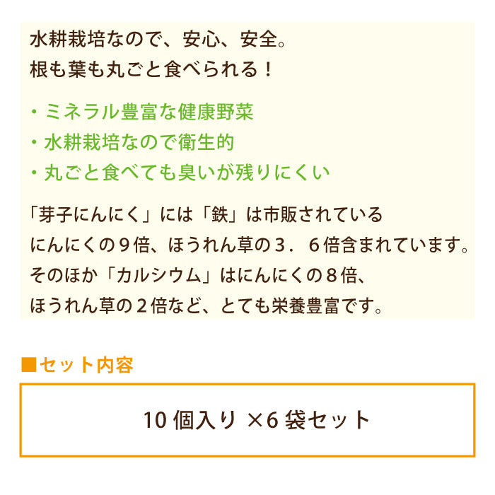 【3人シェア買いでお得】芽子にんにく 10個入り×6袋 * (クール便)
