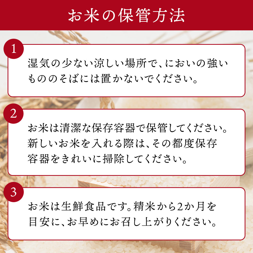 【5人シェア買いで5%OFF】雪若丸 10kg  令和3年 山形県産 送料無料【最安値に挑戦】
