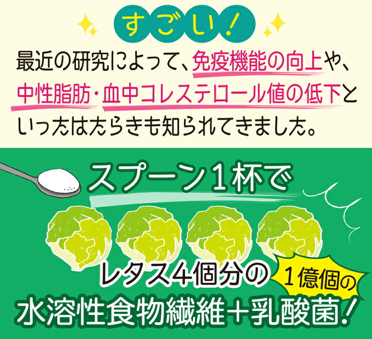 500g 水溶性食物繊維＋生きてる乳酸菌パウダー