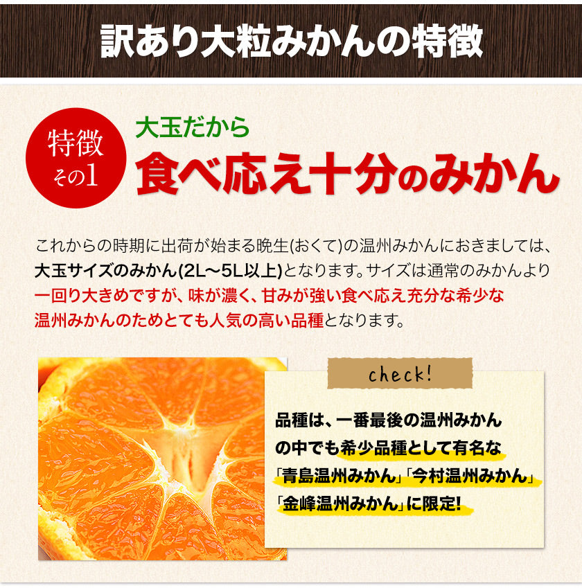 【ご新規さんとシェア買い】大粒 みかん 訳あり 1.5kg 熊本 送料無料 フルーツ 訳ありみかん 5kg以下 10kg以下 大玉 家庭用 果物 柑橘 食品 蜜柑 フルーツ 果物