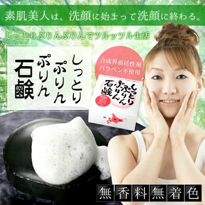 【3人シェア買いでお得】登別温泉 しっとりぷりんぷりん石鹸１００ｇ  熊笹 茶エキス 熊笹竹炭 鮭コラーゲン アンチエイジング ニキビ 全身 洗顔
