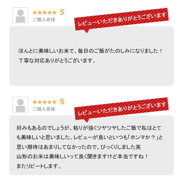 米 10kg 山形産コシヒカリ 令和3年産 お米 白米 10キロ（本州：送料無料）