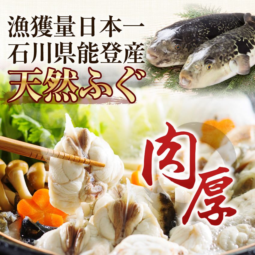 【3人シェア買いでお得】5種豪華鍋セット もつ鍋・牡蠣鍋・水炊き鍋