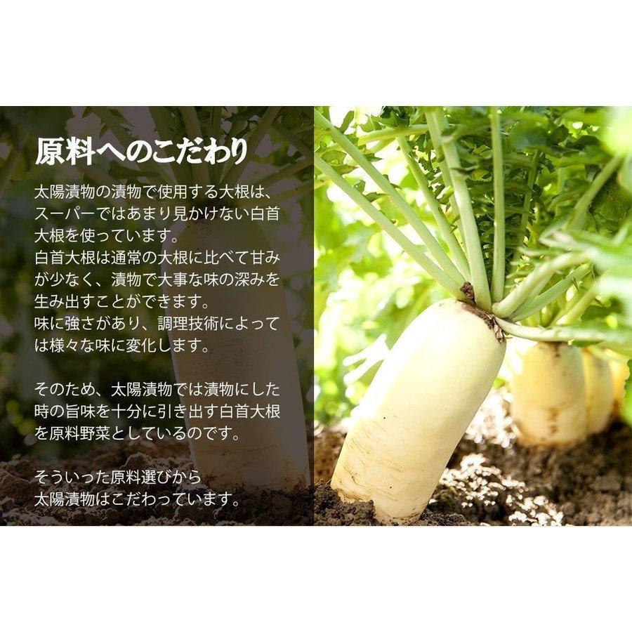 九州高菜 4袋 (150g×4袋) 送料無料 ご飯のお供 ふりかけ 食品 お試し 国産 ギフト お取り寄せ グルメ 漬物 鹿児島 宮崎