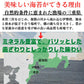 三重県 伊勢湾産 焼海苔 全型50枚  チャック付袋 送料無料【ゲリラセール】