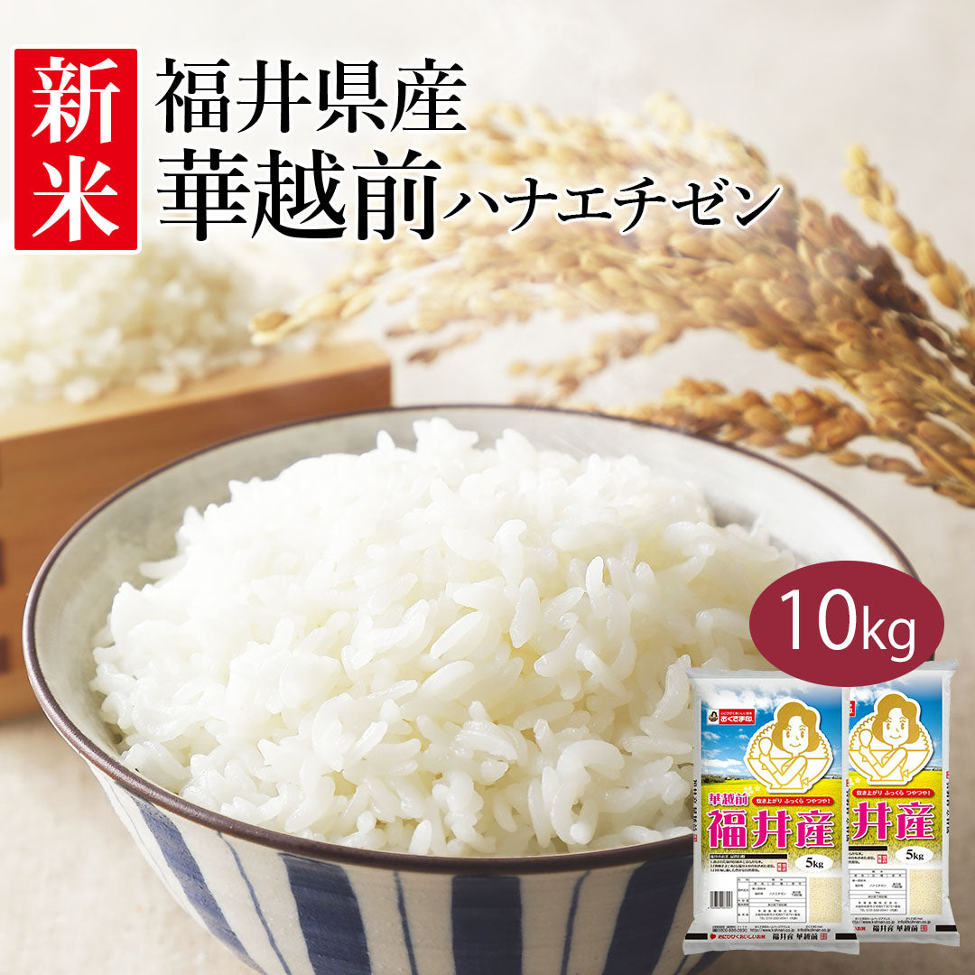 米 精米 福井県産 華越前 ハナエチゼン 10kg (5kg×2) 令和5年産 新米 お米 白米 おくさま印 国産 食品 ギフト 引っ越し 挨拶 出産 内祝い 母の日 父の日 お中元 お歳暮 結婚 快気 還暦 香典返し お年賀 送料無料