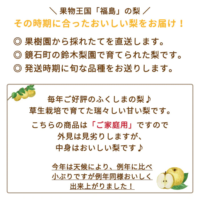 福島県産 梨 3kg  (6～9個入)家庭用 鏡石町 *