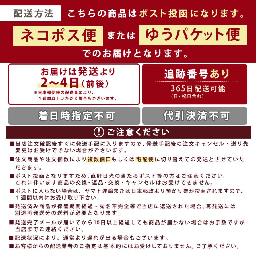【超シェア買い祭】本場生讃岐うどん 専用醤油付セット 【平切り麺】 6人前 (300g×2袋) 送料無料 生うどん しょうゆうどん 簡単調理 鎌田醤油 人気 麺 讃岐 うどん 本場 純生 香川県 生麺 めんつゆ こだわり