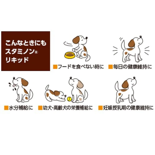 【たっぷり3個！】スタミノンリキッド チョイスプラススタミノン チョイスプラス スタミノン リキッド 40g アース・ペット 犬用ビタミン サプリメント　※
