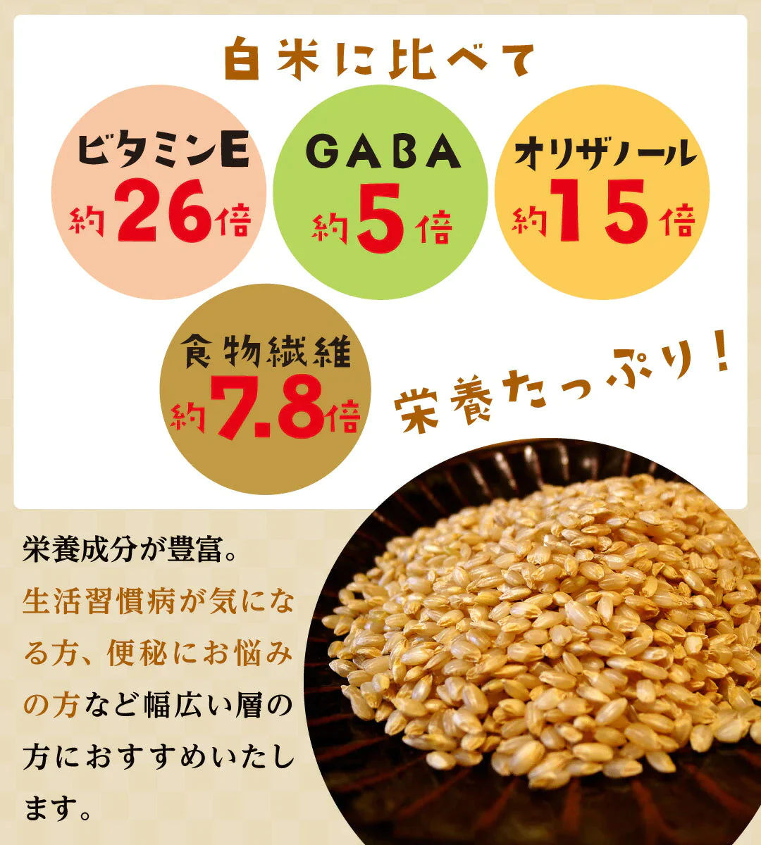 ご飯パック 金のいぶき玄米ごはん 48個セット 120g おくさま印 お米 レトルト 食品 無添加 国産 レンジで簡単 温めるだけ ギフト 引っ越し 挨拶 出産 内祝い 母の日 父の日 お中元 お歳暮 結婚 還暦 寒中 暑中見舞い 送料無料