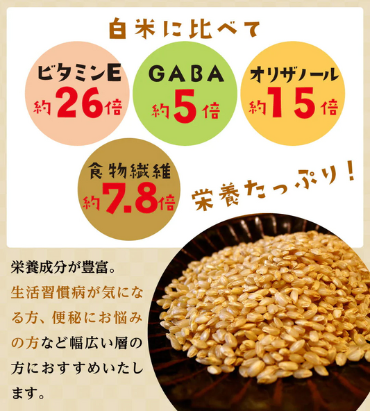 ご飯パック 金のいぶき玄米ごはん 48個セット 120g おくさま印 お米 レトルト 食品 無添加 国産 レンジで簡単 温めるだけ ギフト 引っ越し 挨拶 出産 内祝い 母の日 父の日 お中元 お歳暮 結婚 還暦 寒中 暑中見舞い 送料無料