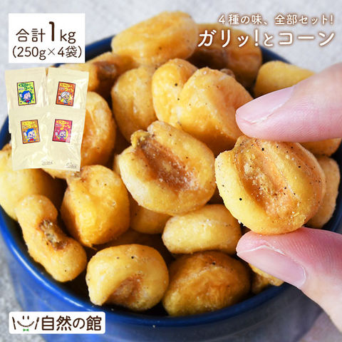 ガリっとコーン4種セット　ジャイアントコーン　塩コショウ味　明太バター味　塩わさび　カレー味