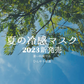 ＼接触冷感 熱中症対策／  人気グレージュ cicibella 2023 新発売 3D冷感マスク マスク 冷感 マスク 不織布