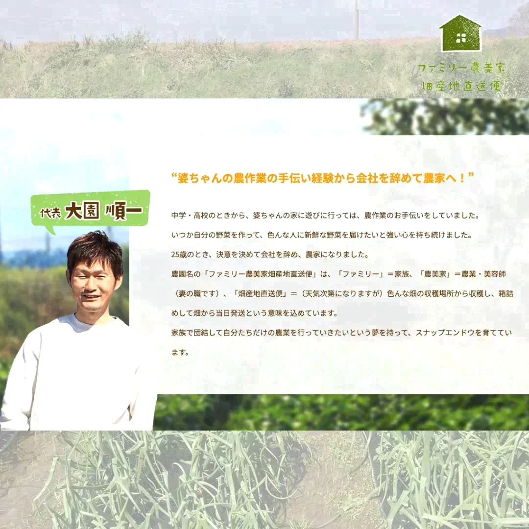 【農家直送！】鹿児島産 -甘塩ジャンボインゲン-（1kg,80本前後）採れたて新鮮！ / 野菜 / いんげん / 豆 / ごま / 炒め物 / 煮物 / サラダ / 新鮮 / 農産物 / 無農薬 / 送料無料【特産品・ご当地特集】