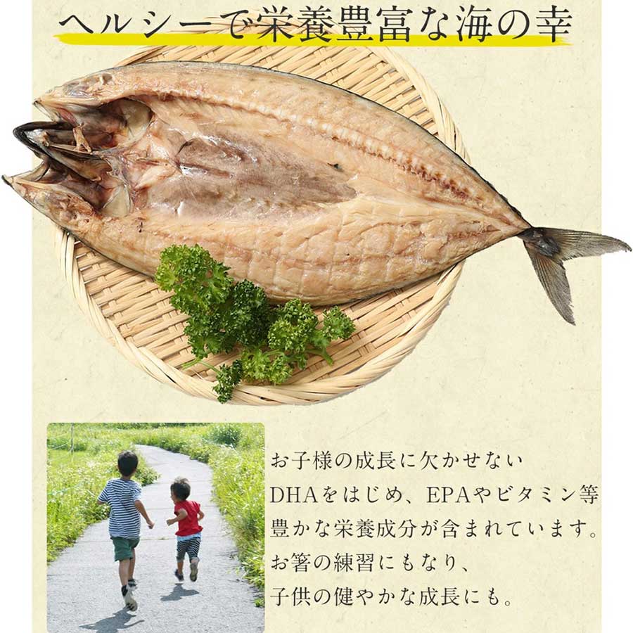 さば 開き 頭付 背開き 900g 450g×2枚 EPA DHA 豊富 青魚
