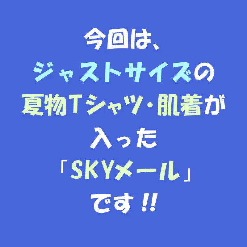 【110cm 女の子 3枚入り】 夏物Tシャツ・肌着 福袋「SKYメール」