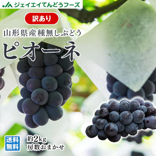 訳あり ぶどう ピオーネ 山形県産 約2kg(房数おまかせ) 送料無料※一部地域を除く gr05