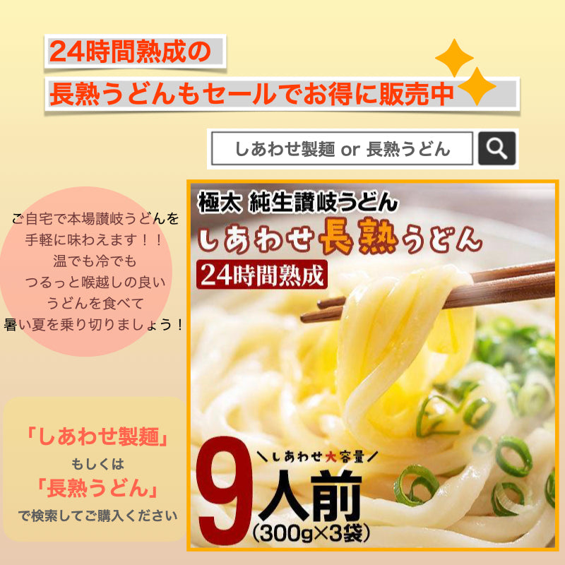 讃岐うどん 9食 本場 製造直売 送料無料【ゲリラセール】