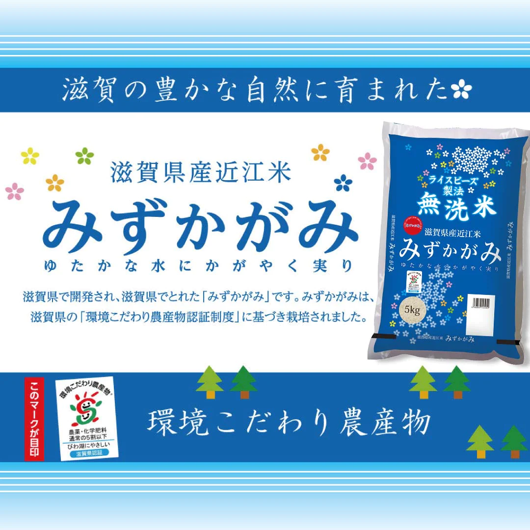 無洗米 米 滋賀県産 近江米 みずかがみ 10kg (5kg×2) 令和5年産 新米 お米 白米 おくさま印 国産 食品 ギフト 引っ越し 挨拶 出産 内祝い 母の日 父の日 お中元 お歳暮 結婚 快気 還暦 香典返し お年賀 送料無料