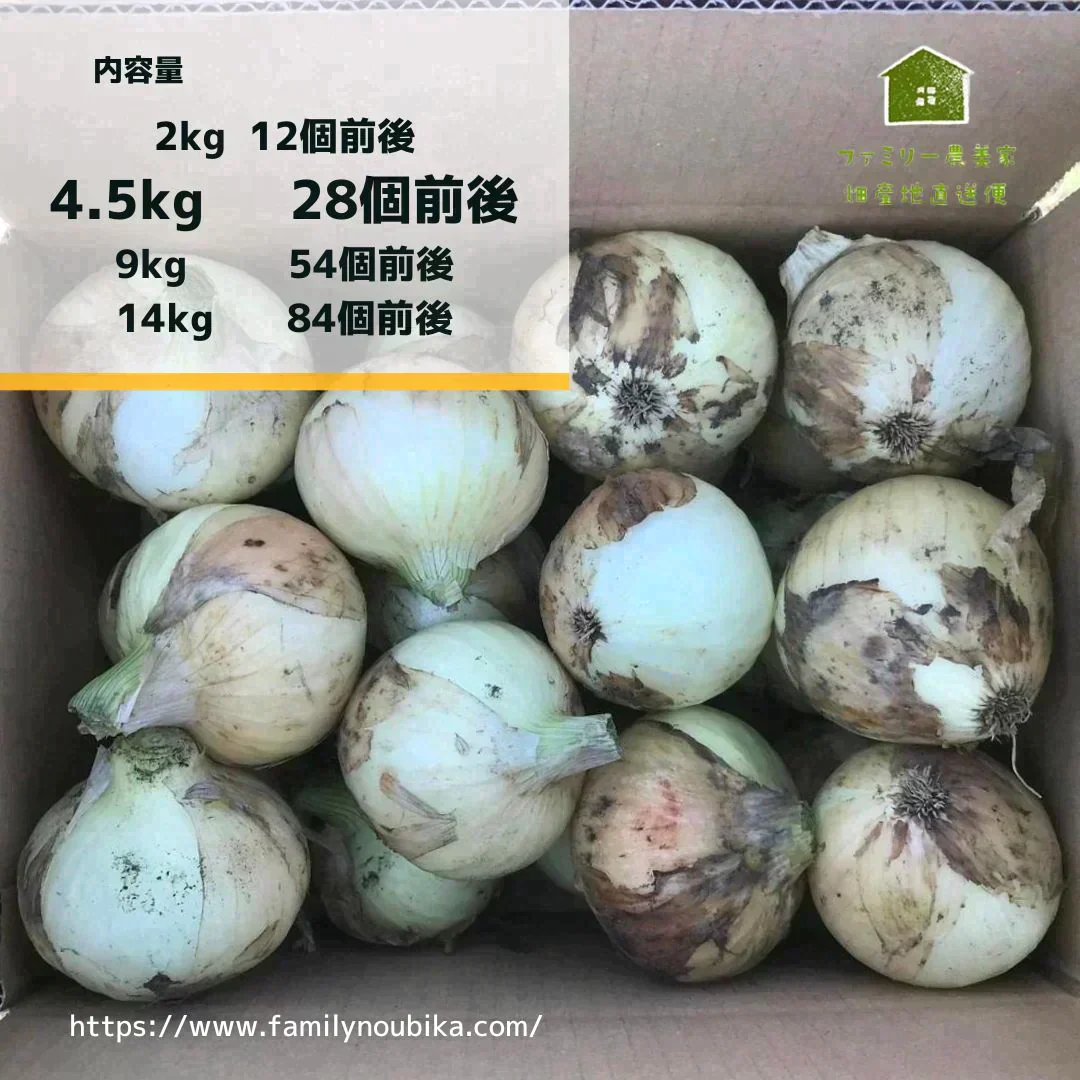 【農家直送！】鹿児島産 -甘塩新玉ねぎ-（4.5kg,28個前後）採れたて新鮮！ / 野菜 / タマネギ / カレー / 炒め物 / サラダ / 新鮮 / 農産物 / 無農薬 /【特産品・ご当地特集】