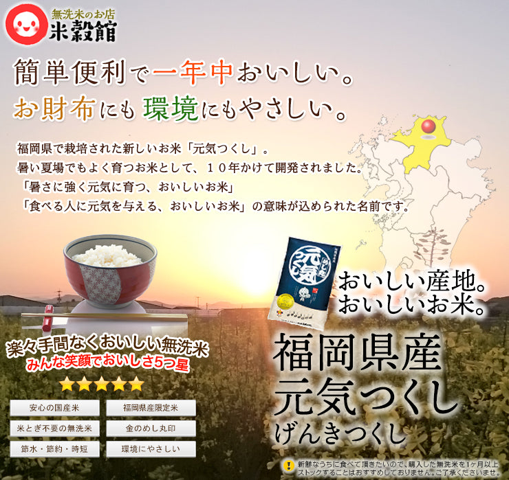 無洗米 10kg 送料無料 九州産　福岡県産「元気つくし」5kg2個(10kg)福岡の自信作。金のめし丸。九州産 米　令和３年産