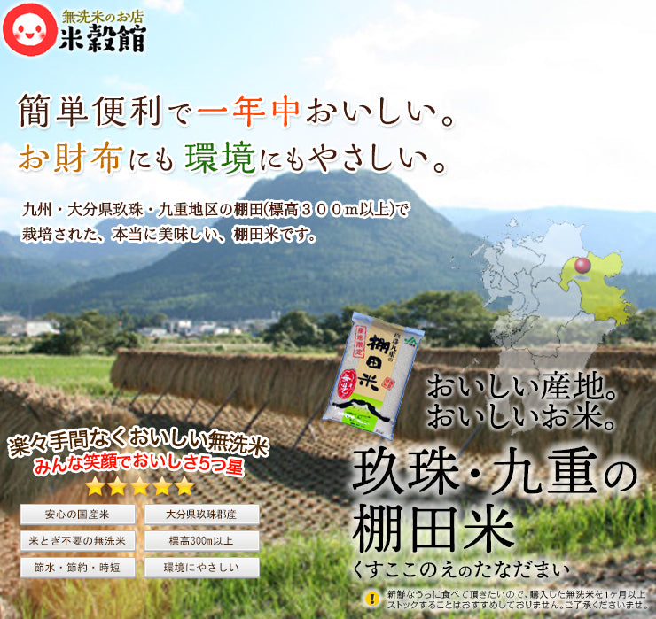 無洗米 10kg 九州産 無洗米 2kg 小分け　いろいろ小袋セット　送料無料 10kg九州のお米だけ無洗米