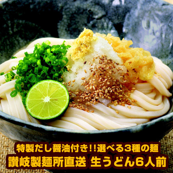 讃岐製麺所直送 生うどん6人前（300g×2P）［だし付き］選べる3種（通常麺/極太麺/平切り麺）メール便でお届け【4〜5営業日以内に出荷】【送料無料】
