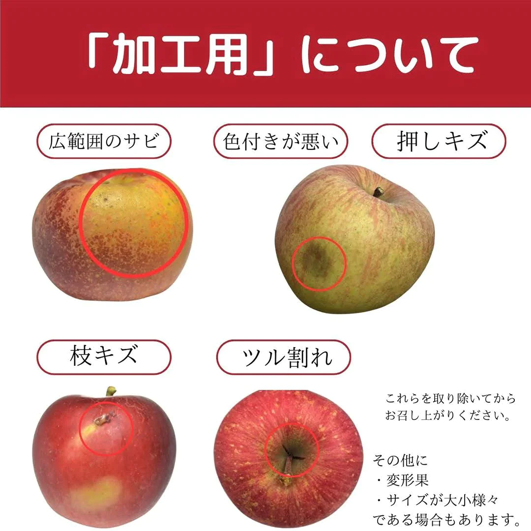 サンふじ 加工用 約3kg 7-16玉＃YAF0K030