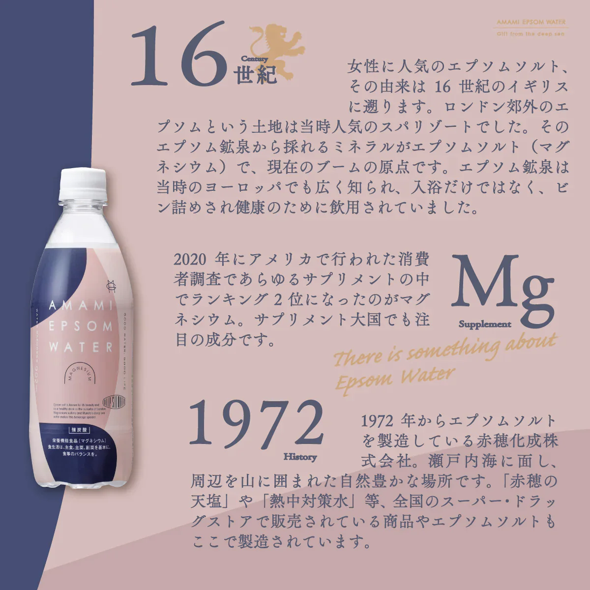 美と健康の炭酸水 エプソムウォーター 500ml 96本